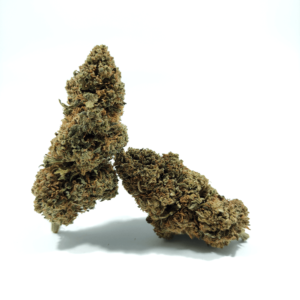 Fleurs - Big Bud