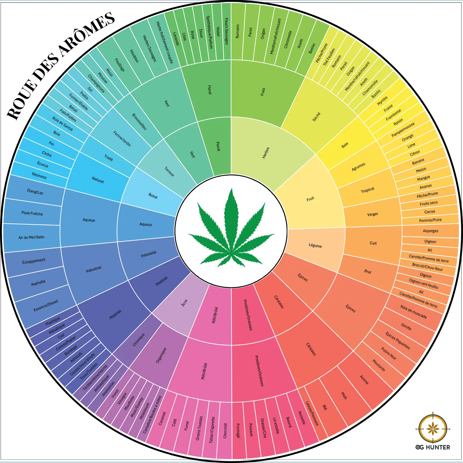 Roue des arômes du cannabis par OG HUNTER, illustrant les différentes notes aromatiques allant des agrumes aux épices, en passant par les arômes terreux et floraux.