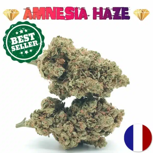 Amnesia Haze CBD