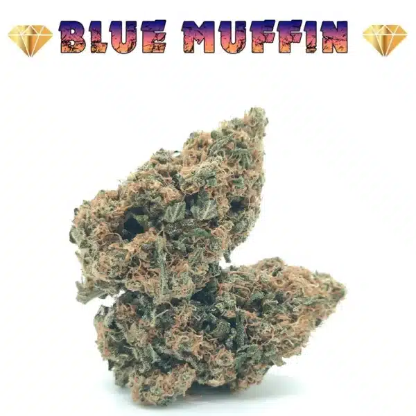 Blueberry Muffin CBD