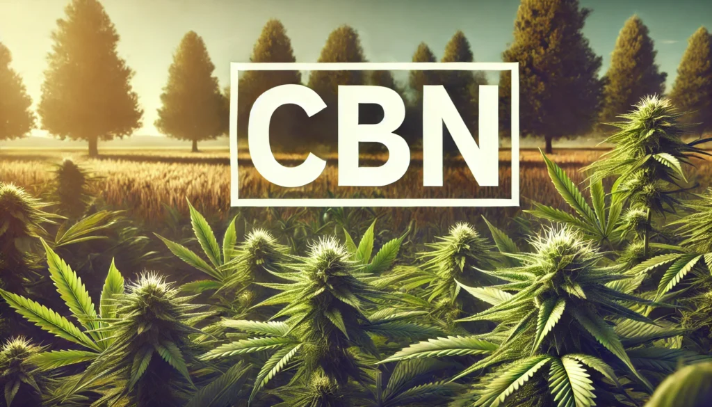 Illustration réaliste de plants de cannabis en floraison avec le texte "CBN" au centre dans un cadre naturel.