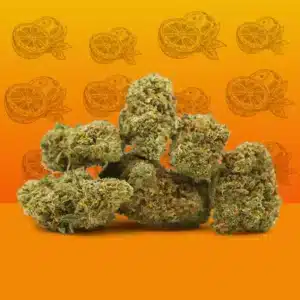 Orange Bud CBD