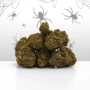 White Widow CBD