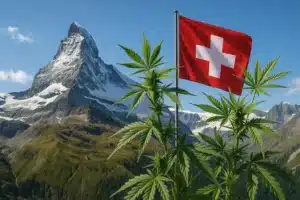 Sommet du Cervin avec drapeau suisse et plantes de cannabis au premier plan